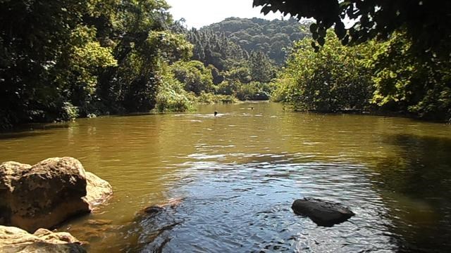 Riqueza de águas 