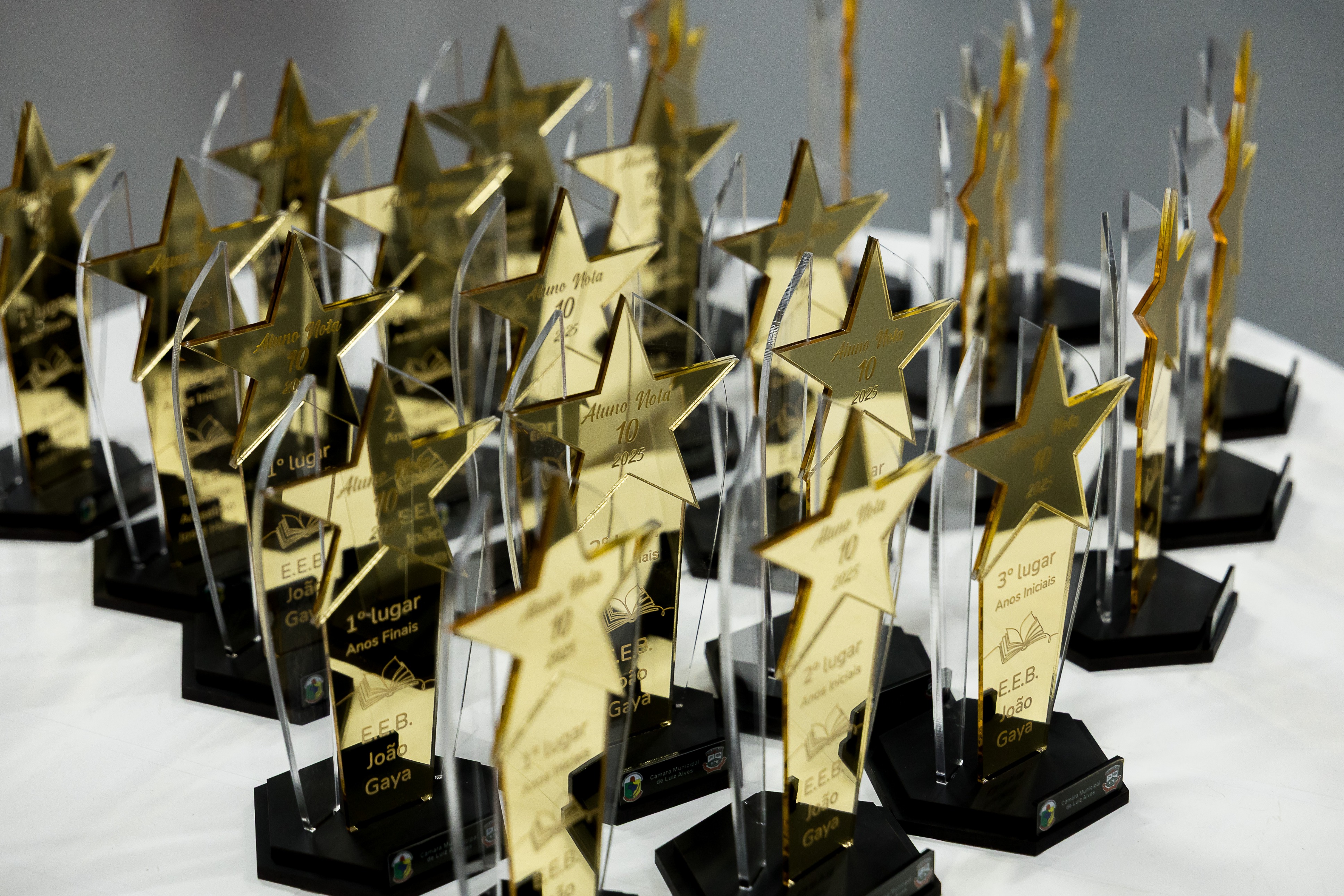 Fotos aluno nota dez (2).jpg