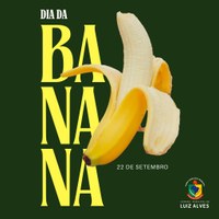 Dia Mundial da Banana