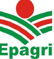 Epagri faz apresentação de relatório de ações de 2021